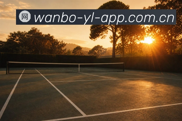 关于BET9APP下载