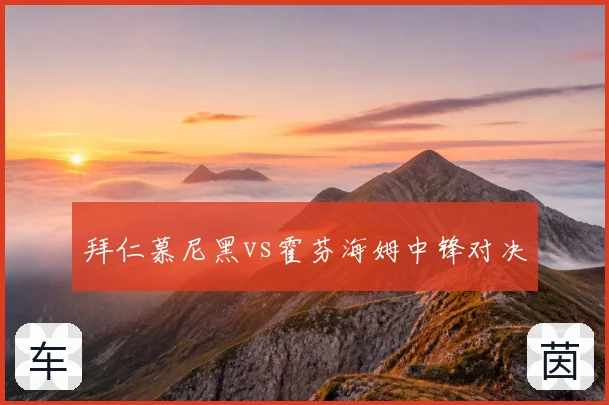 拜仁慕尼黑vs霍芬海姆中锋对决